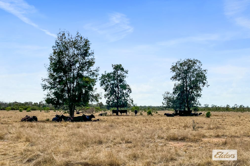 3101 Chinchilla Tara Road, Crossroads, QLD, 4413 - Image 13