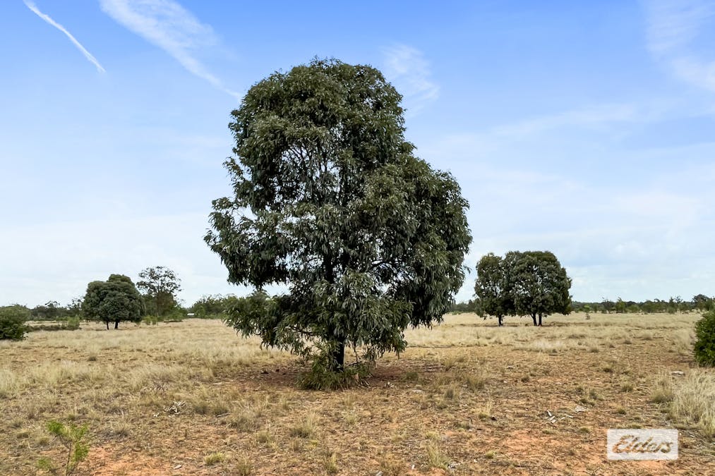 3101 Chinchilla Tara Road, Crossroads, QLD, 4413 - Image 23