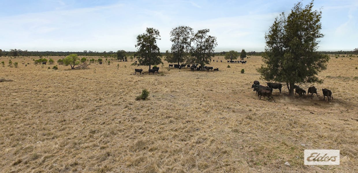 3101 Chinchilla Tara Road, Crossroads, QLD, 4413 - Image 14