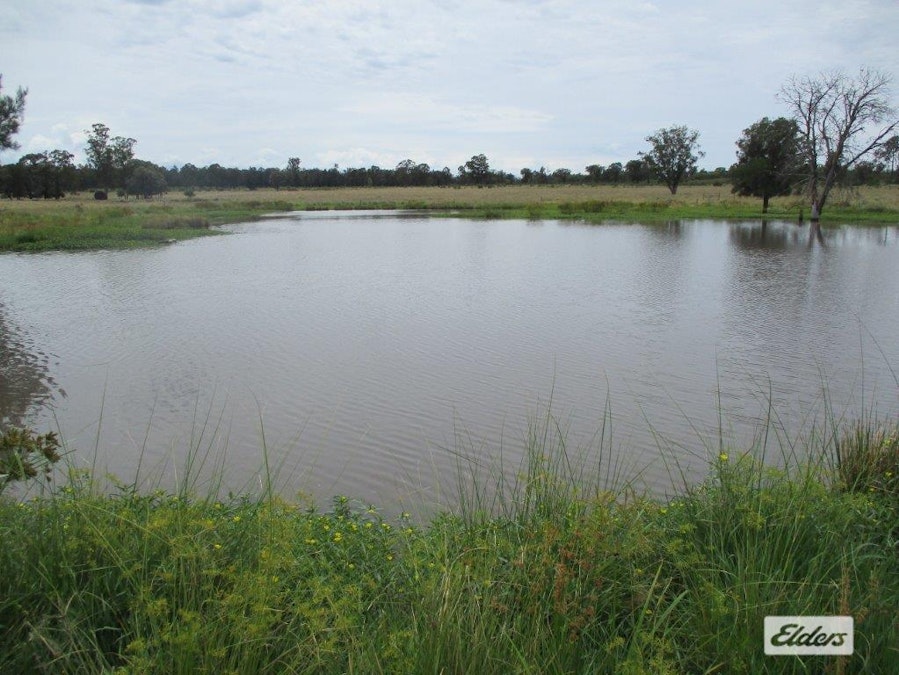 Blackswamp, QLD, 4413 - Image 17