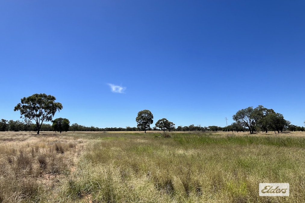 Warrego Highway, Morven, QLD, 4468 - Image 3