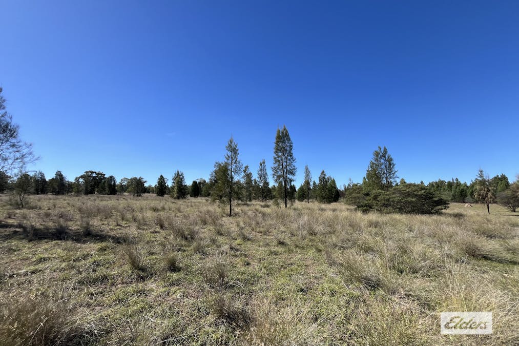 180 Hookswood-Pelham Road, Miles, QLD, 4415 - Image 6