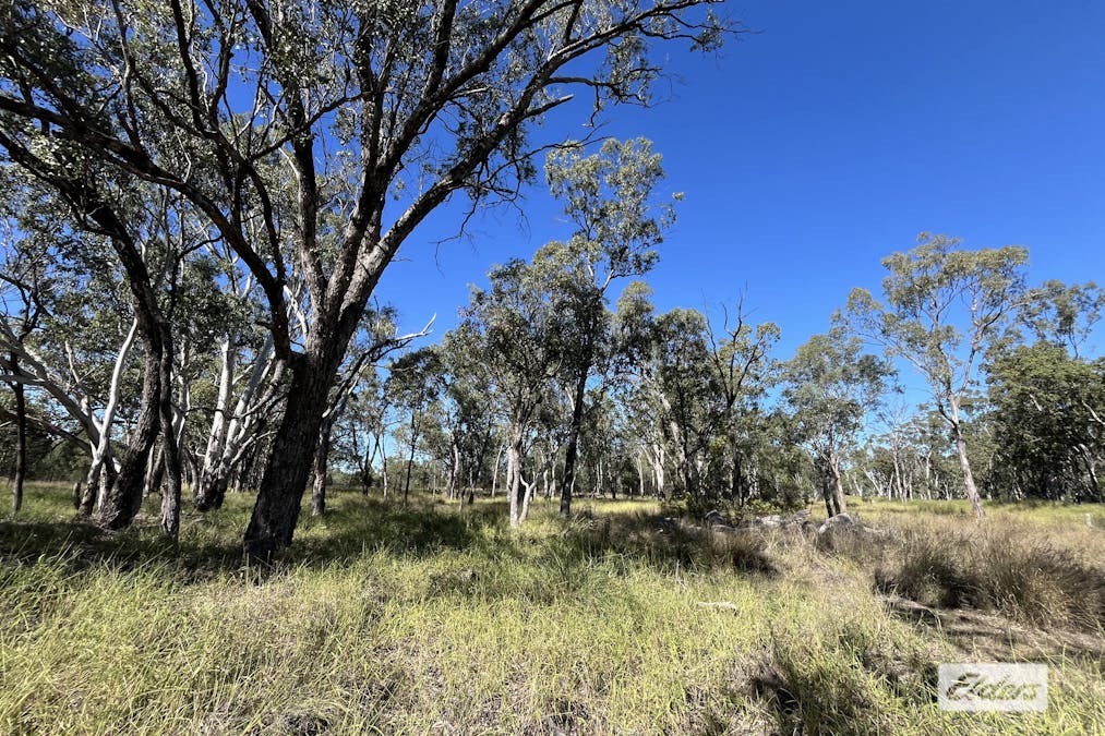 180 Hookswood-Pelham Road, Miles, QLD, 4415 - Image 5