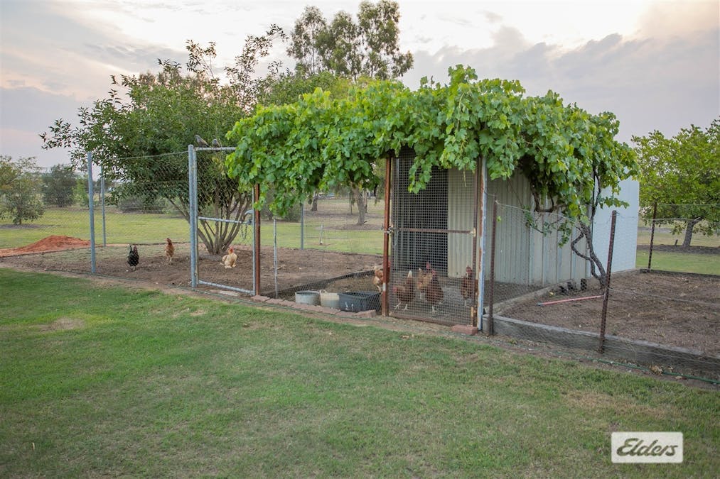 310 Lloyd Street, Chinchilla, QLD, 4413 - Image 17