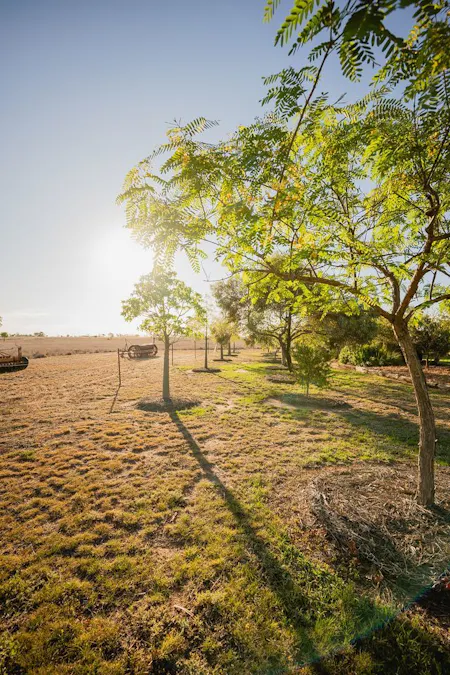 446 Bassett Lane, Roma, QLD, 4455 - Image 20