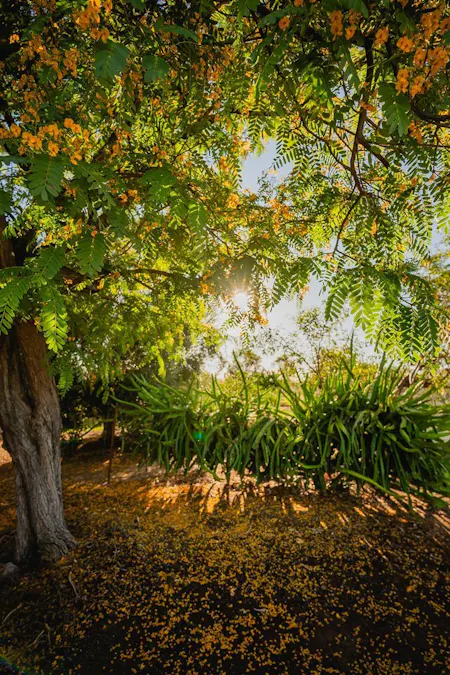 446 Bassett Lane, Roma, QLD, 4455 - Image 21