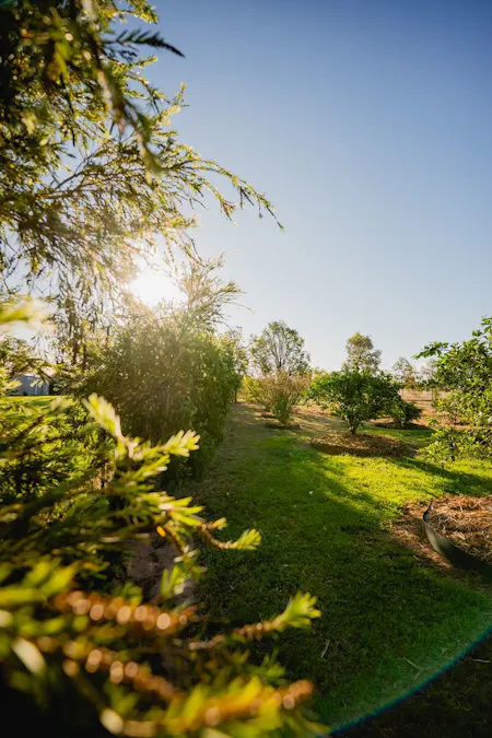 446 Bassett Lane, Roma, QLD, 4455 - Image 23