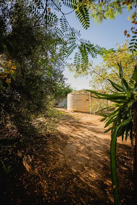 446 Bassett Lane, Roma, QLD, 4455 - Image 22