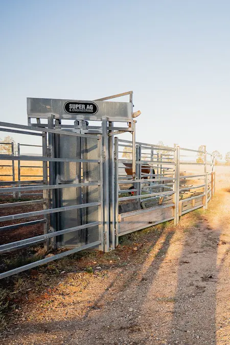 446 Bassett Lane, Roma, QLD, 4455 - Image 26