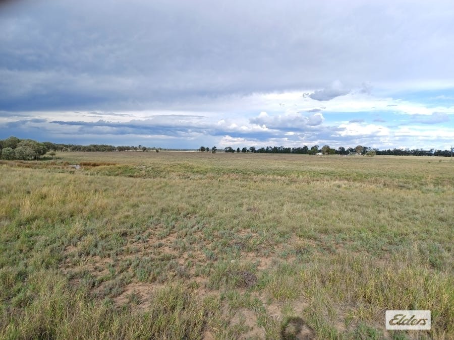 139 Fallon Lane, Mitchell, QLD, 4465 - Image 10