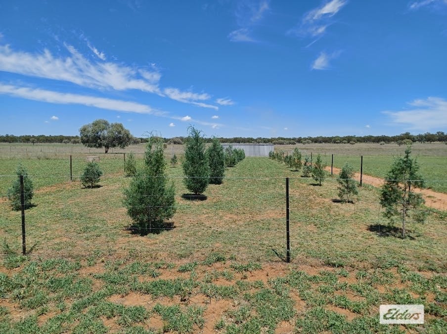 139 Fallon Lane, Mitchell, QLD, 4465 - Image 11
