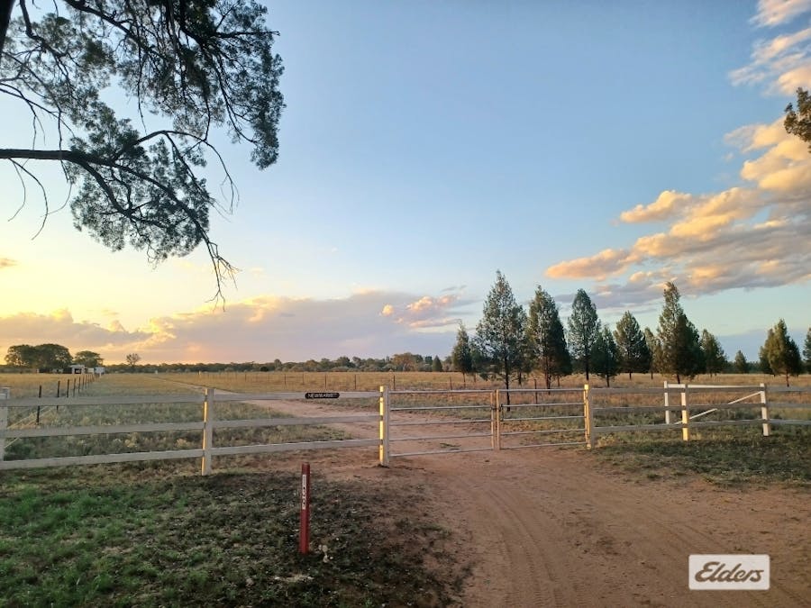 139 Fallon Lane, Mitchell, QLD, 4465 - Image 1