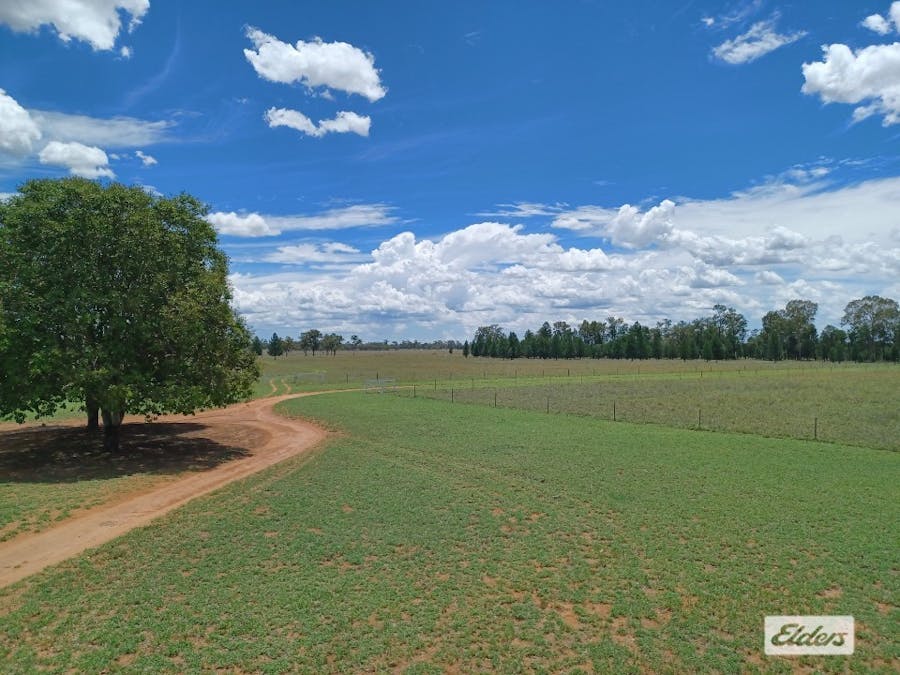 139 Fallon Lane, Mitchell, QLD, 4465 - Image 2