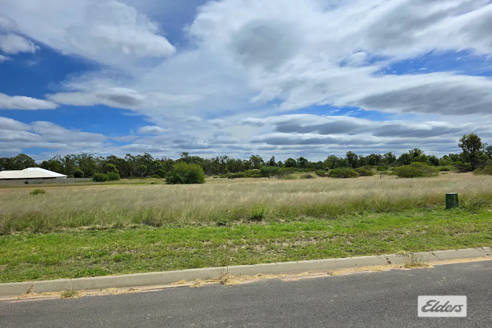 23 Acacia Drive, Miles, QLD, 4415 - Image 3