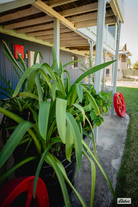 9 Conlan Street, Roma, QLD, 4455 - Image 28