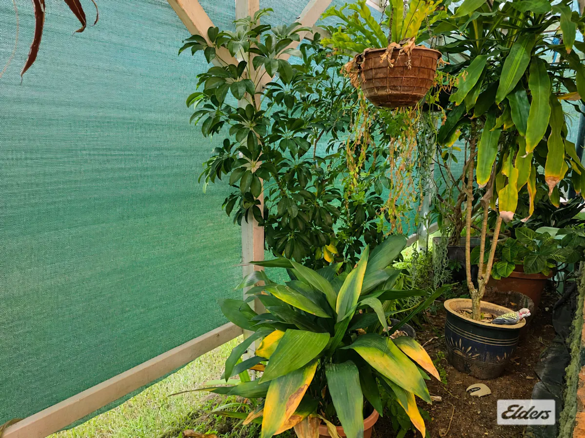 20 Colamba Street — photo 4 of 21