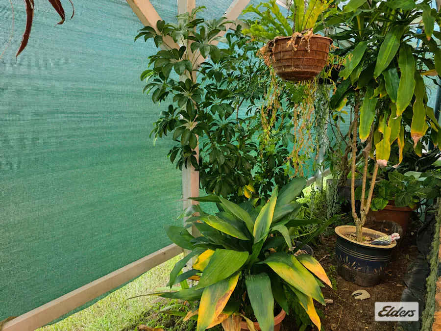 20 Colamba Street, Miles, QLD, 4415 - Image 4