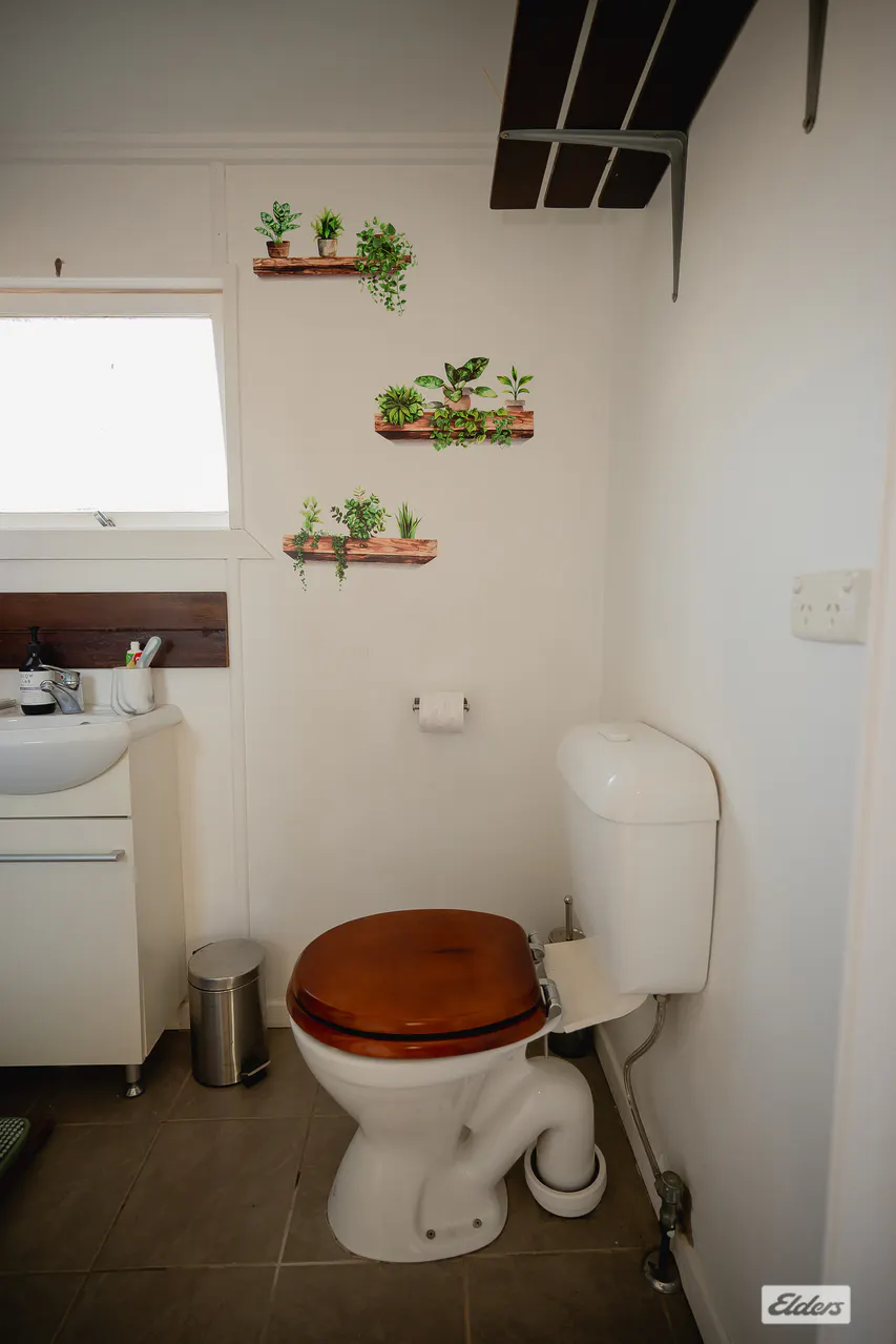 10 Fowles Street — photo 18 of 22