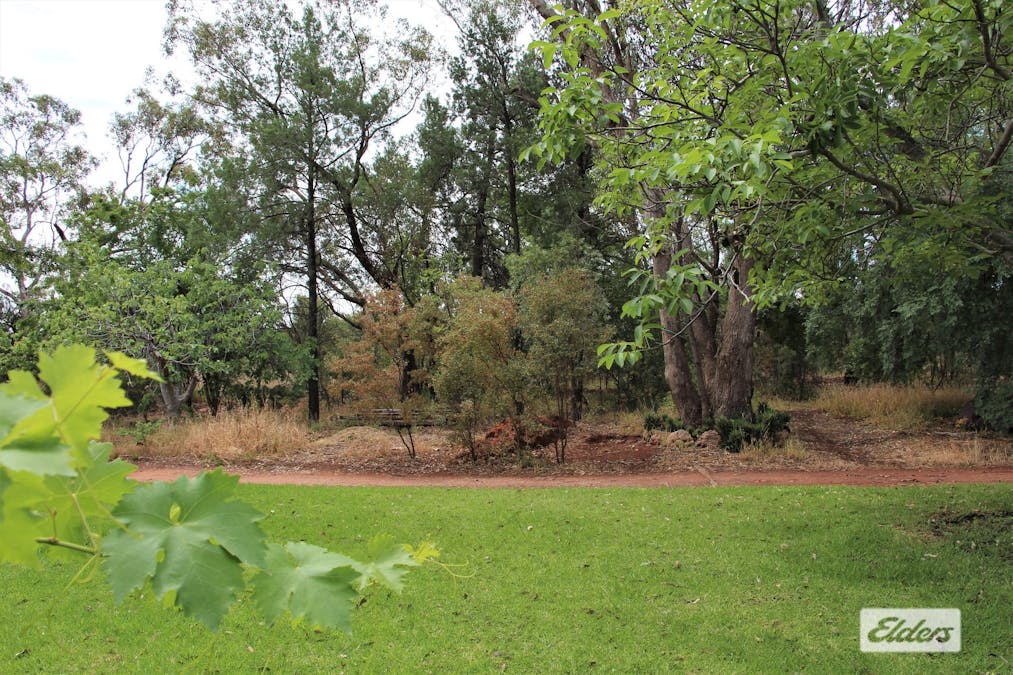 19 Kelly Avenue, Griffith, NSW, 2680 - Image 9