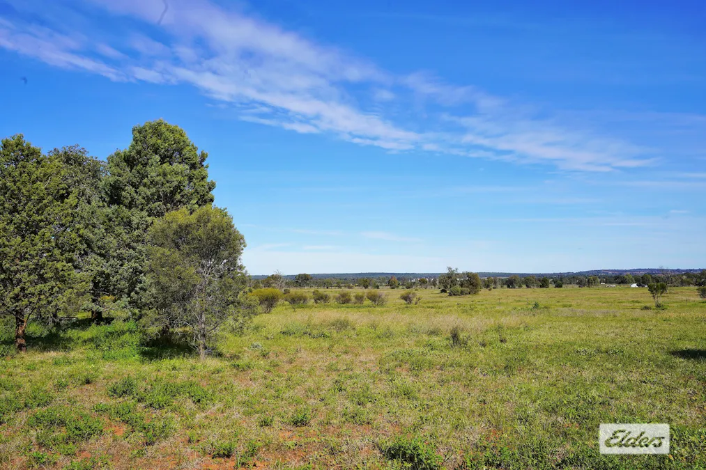 2 Annies Lane, Griffith, NSW, 2680 - Image 1