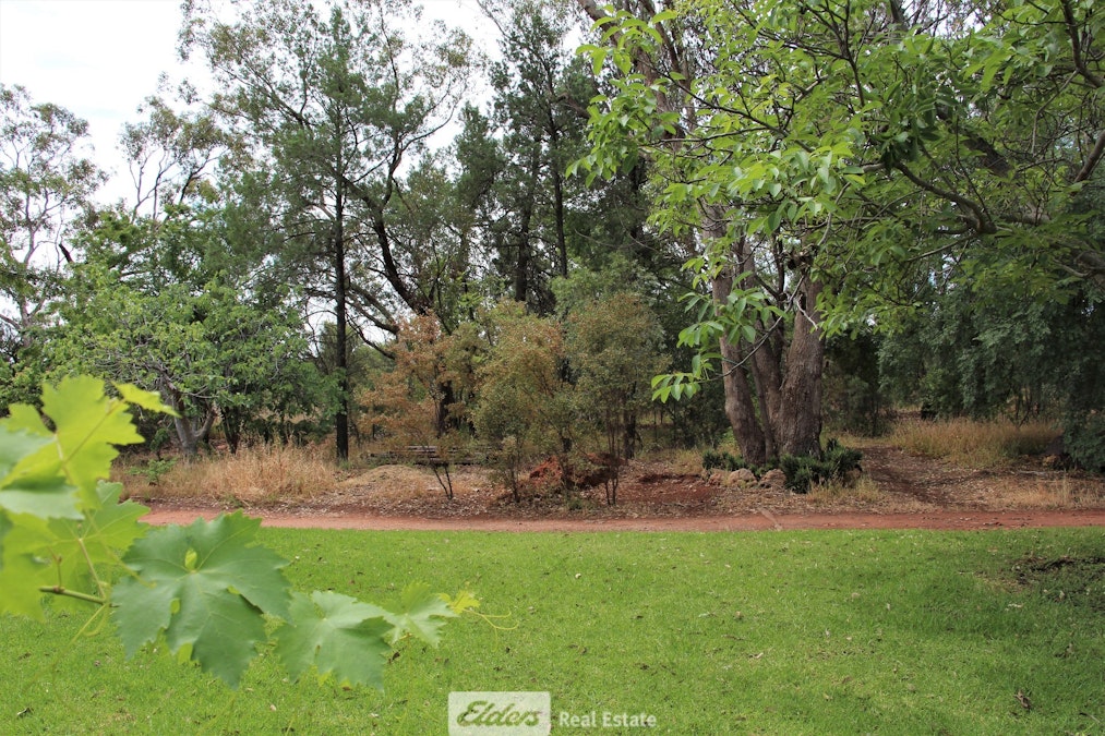 4 Wood Road, Griffith, NSW, 2680 - Image 16