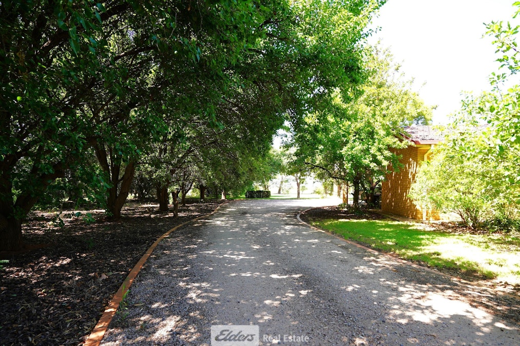 200 Oakes Road, Yoogali, NSW, 2680 - Image 24