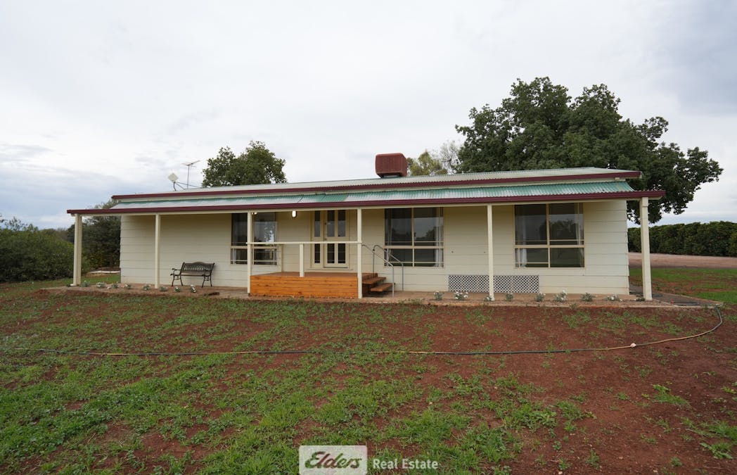 190 Murrumbidgee Avenue, Griffith, NSW, 2680 - Image 10
