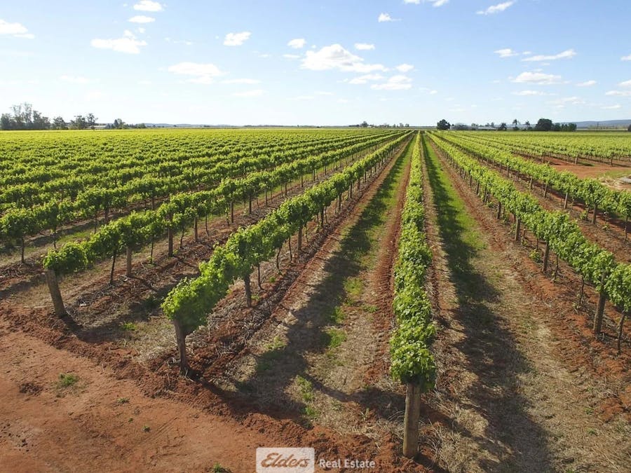 189 Myall Park Road, Yenda, NSW, 2681 - Image 10