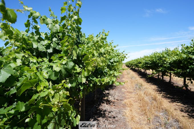 1489 McDonough Road, Yenda, NSW, 2681 - Image 1