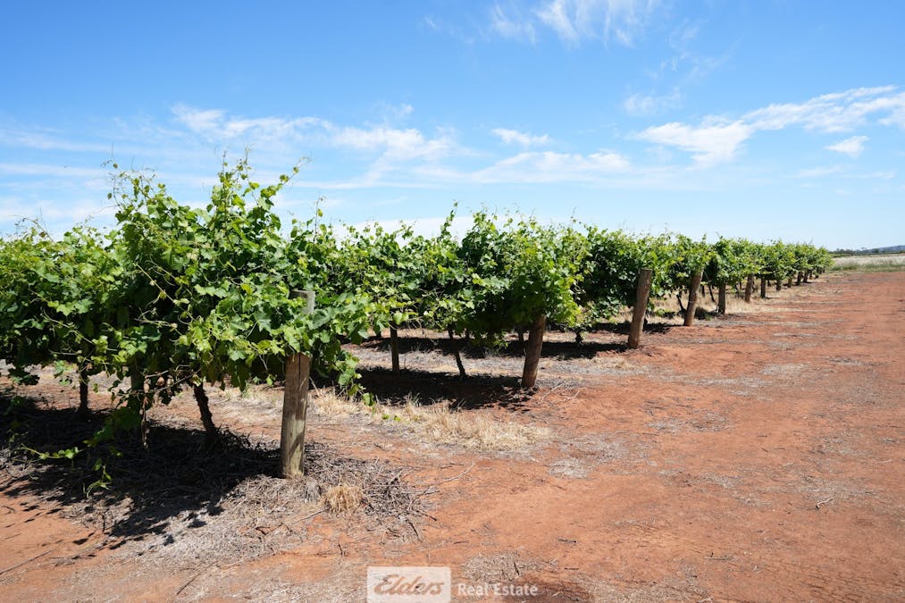 1489 McDonough Road, Yenda, NSW, 2681 - Image 3