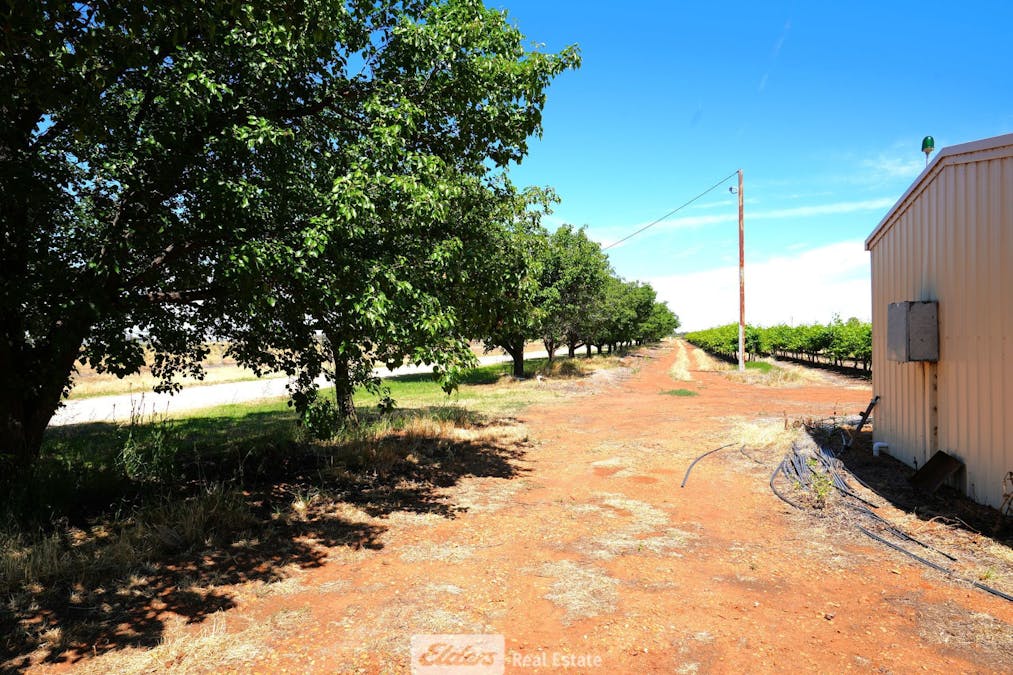 1489 McDonough Road, Yenda, NSW, 2681 - Image 4