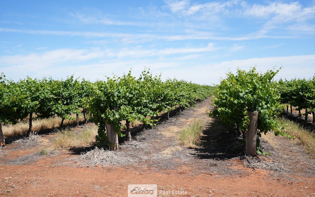 1489 McDonough Road, Yenda, NSW, 2681 - Image 5