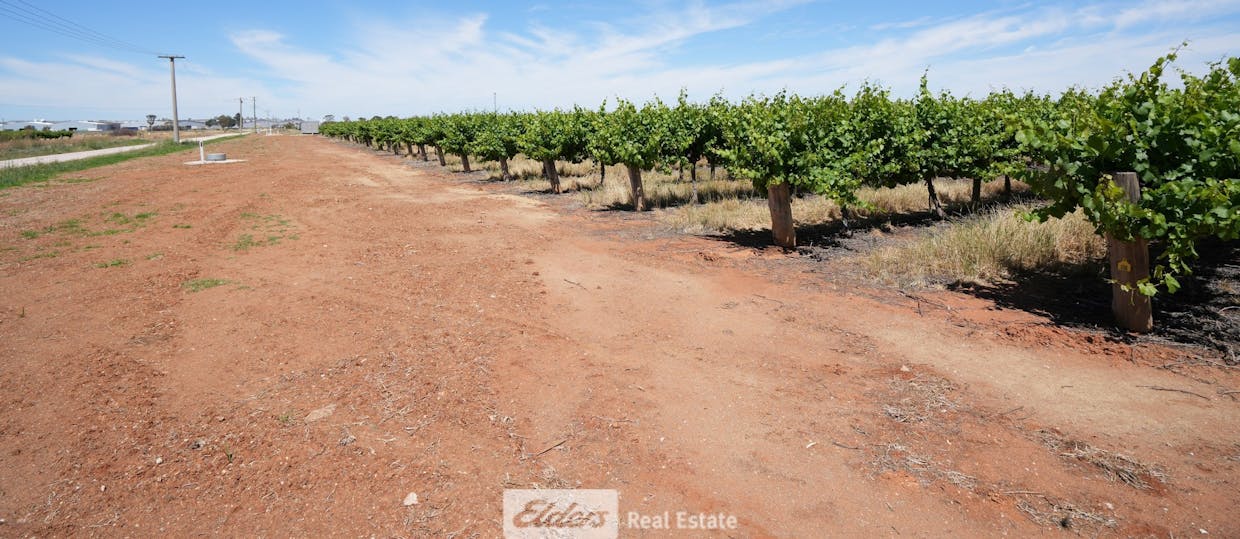 1489 McDonough Road, Yenda, NSW, 2681 - Image 6