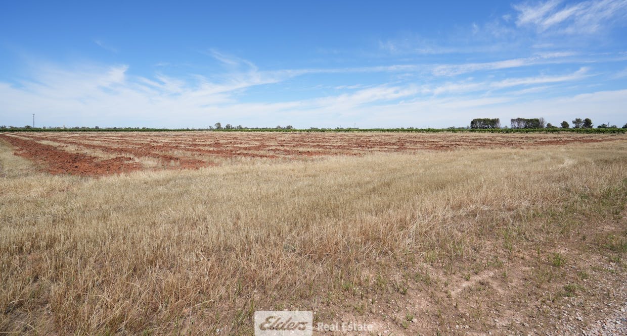 1489 McDonough Road, Yenda, NSW, 2681 - Image 7