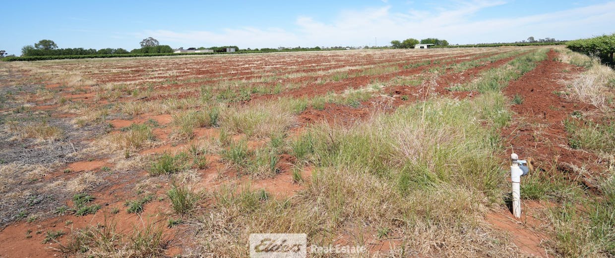 1489 McDonough Road, Yenda, NSW, 2681 - Image 8