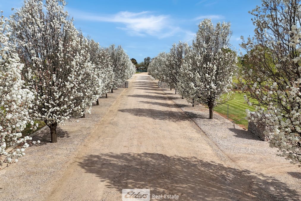 85 & 87 Eipper Road, Yoogali, NSW, 2680 - Image 2