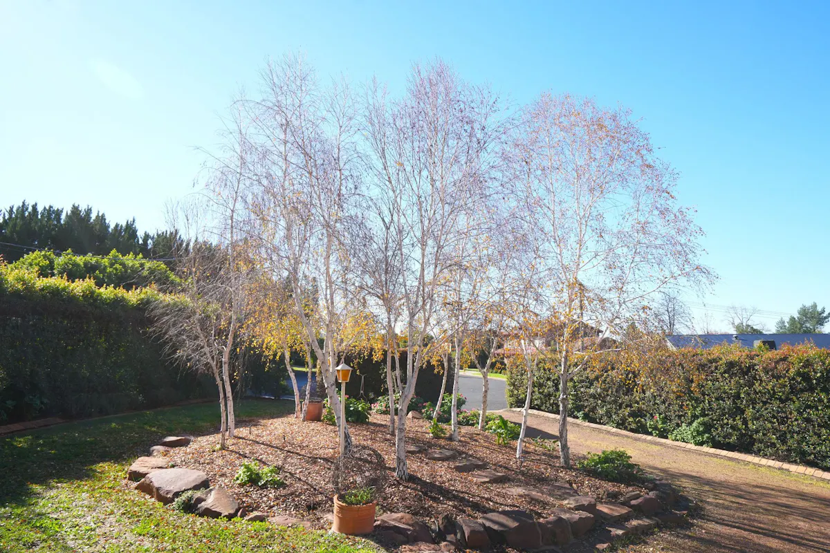 5 Mills Place — photo 16 of 19