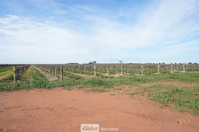 103 Whiting Road, Hanwood, NSW, 2680