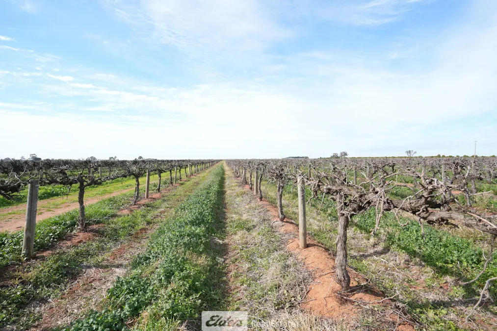 103 Whiting Road, Hanwood, NSW, 2680 - Image 8