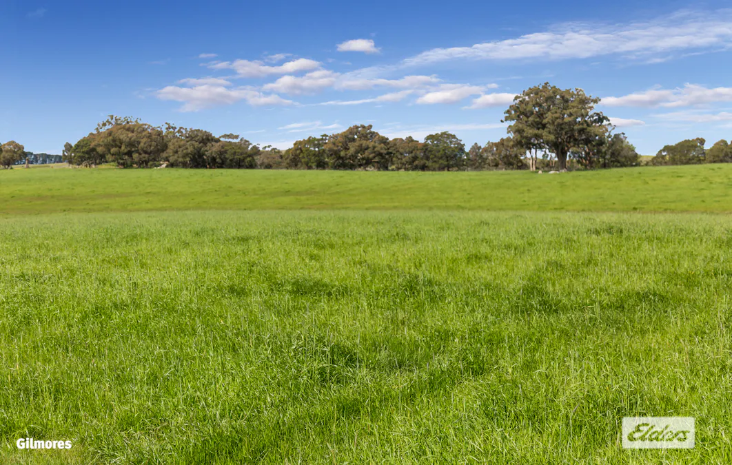 Mission Hill Road Road, Baynton East, VIC, 3444 - Image 3