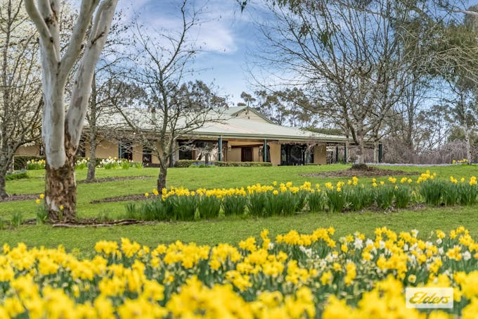 112 Caddys Lane, Tylden, VIC, 3444 - Image 1