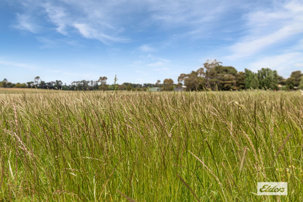 90 Notmans Lane, Lancefield, VIC, 3435 - Image 16