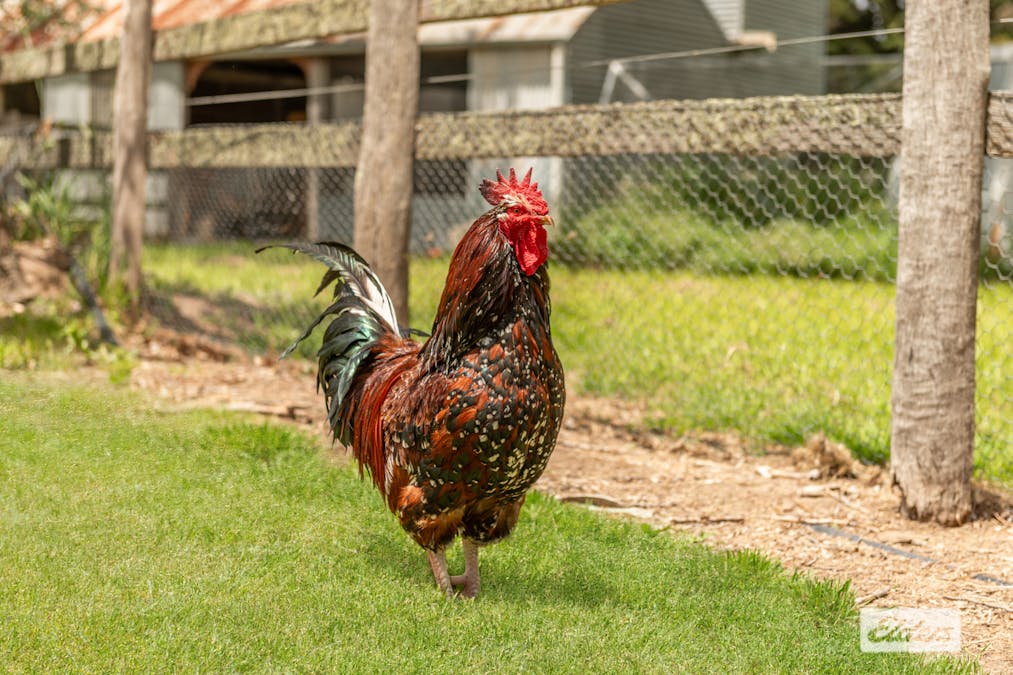 90 Notmans Lane, Lancefield, VIC, 3435 - Image 22