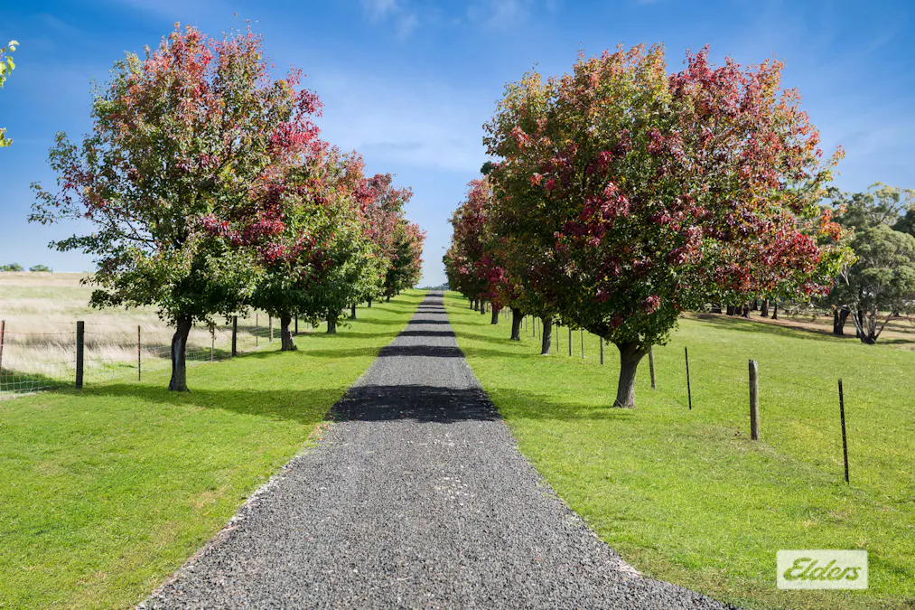 245 Martins Road, Nulla Vale, VIC, 3435 - Image 7