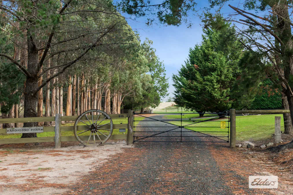 245 Martins Road, Nulla Vale, VIC, 3435 - Image 19