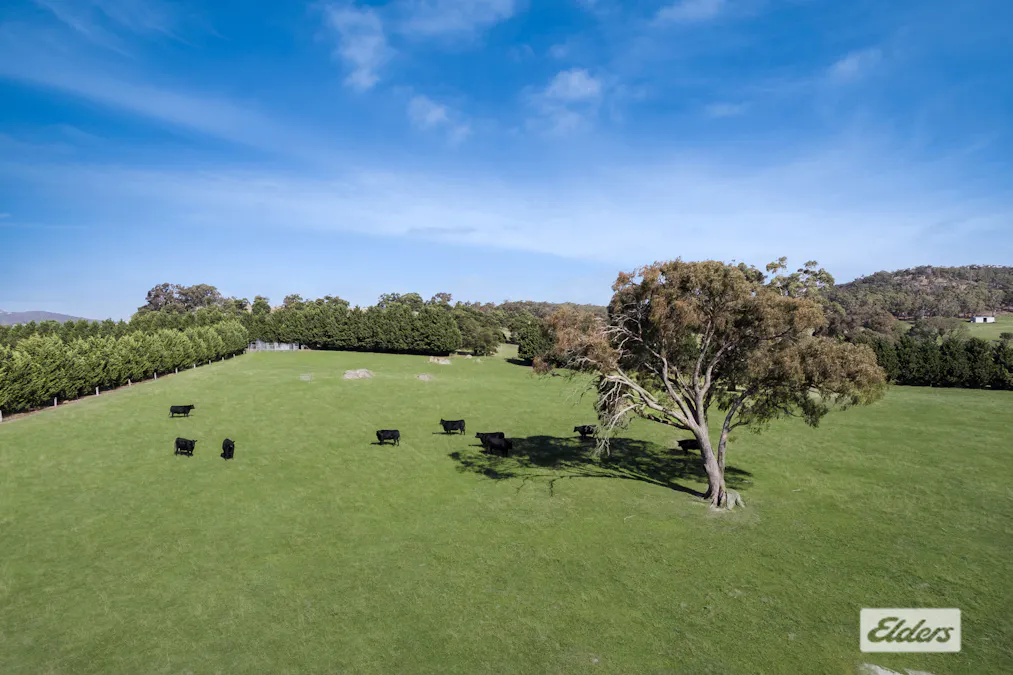 245 Martins Road, Nulla Vale, VIC, 3435 - Image 10