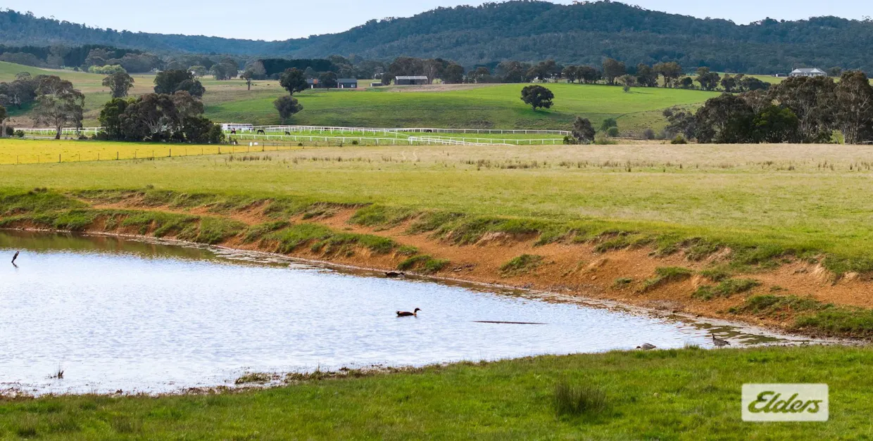 1924 Three Chain Road, Lancefield, VIC, 3435 - Image 3