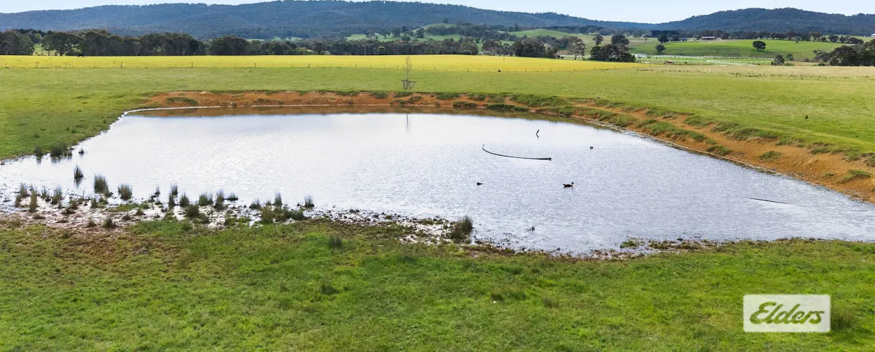 1924 Three Chain Road, Lancefield, VIC, 3435 - Image 10