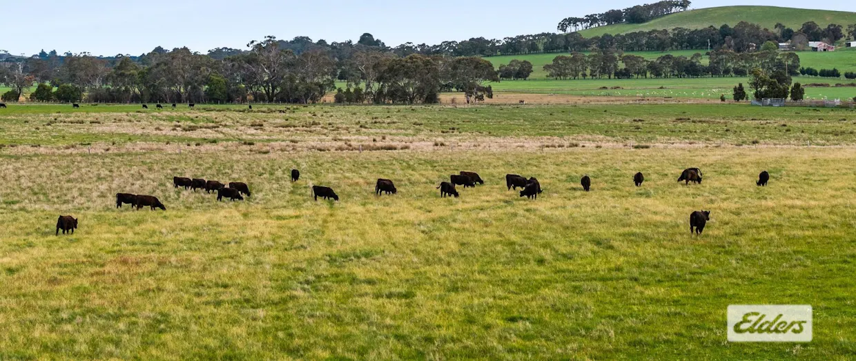 1924 Three Chain Road, Lancefield, VIC, 3435 - Image 8