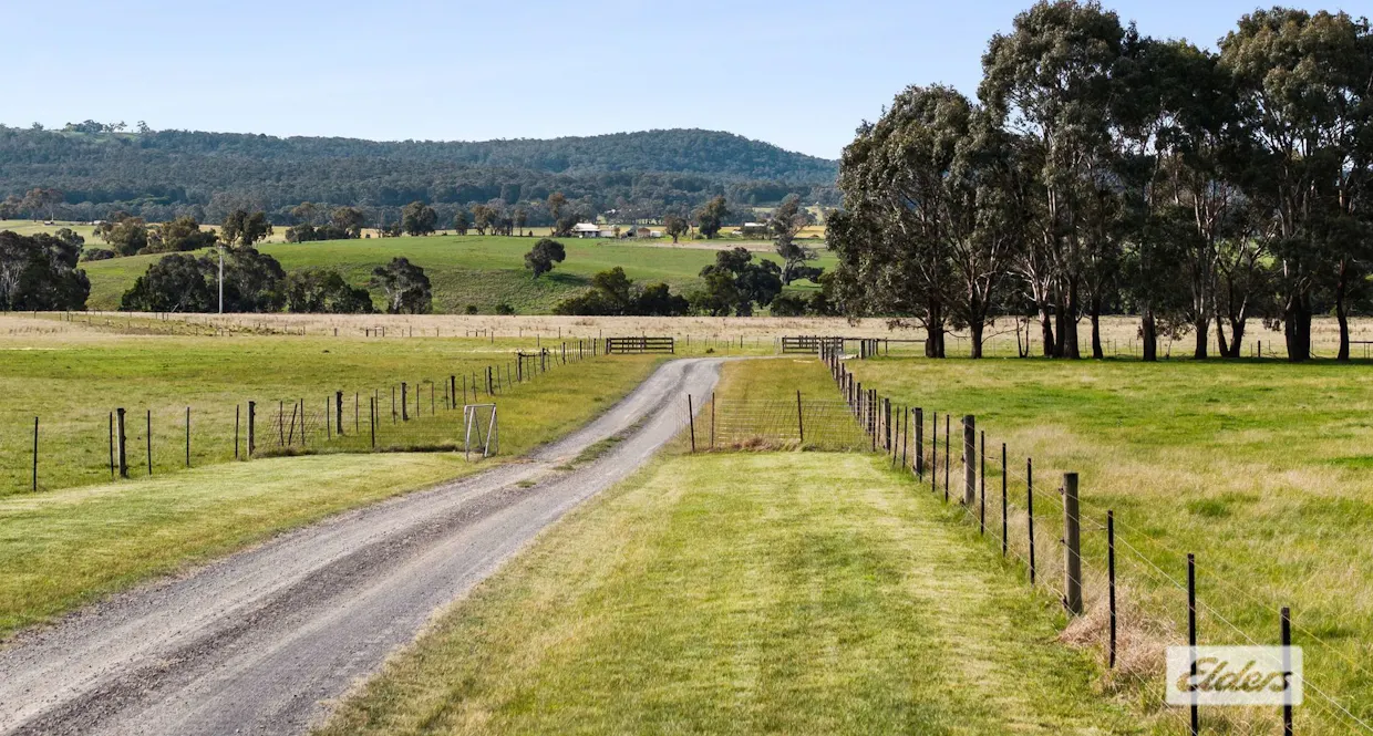 1924 Three Chain Road, Lancefield, VIC, 3435 - Image 16